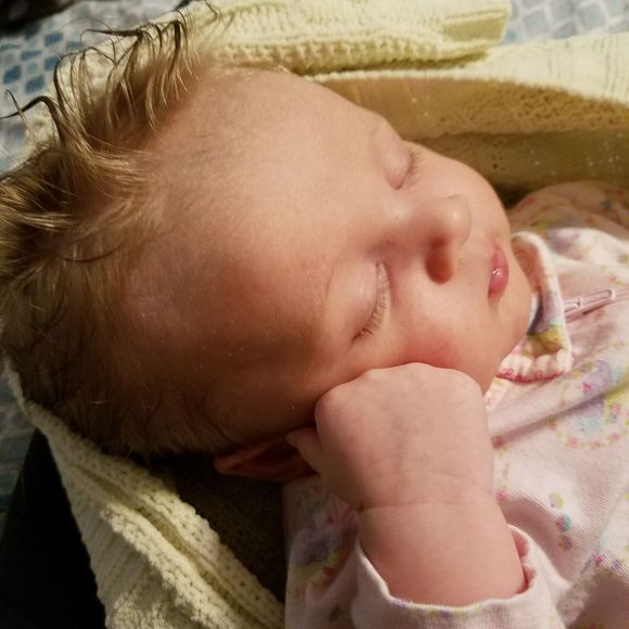 Meet your Posher, Jasmine - Picture 1 of 1